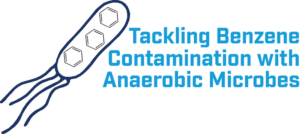 Bacteria beside words "Tackling Benzene Contamination with Anaerobic Microbes"
