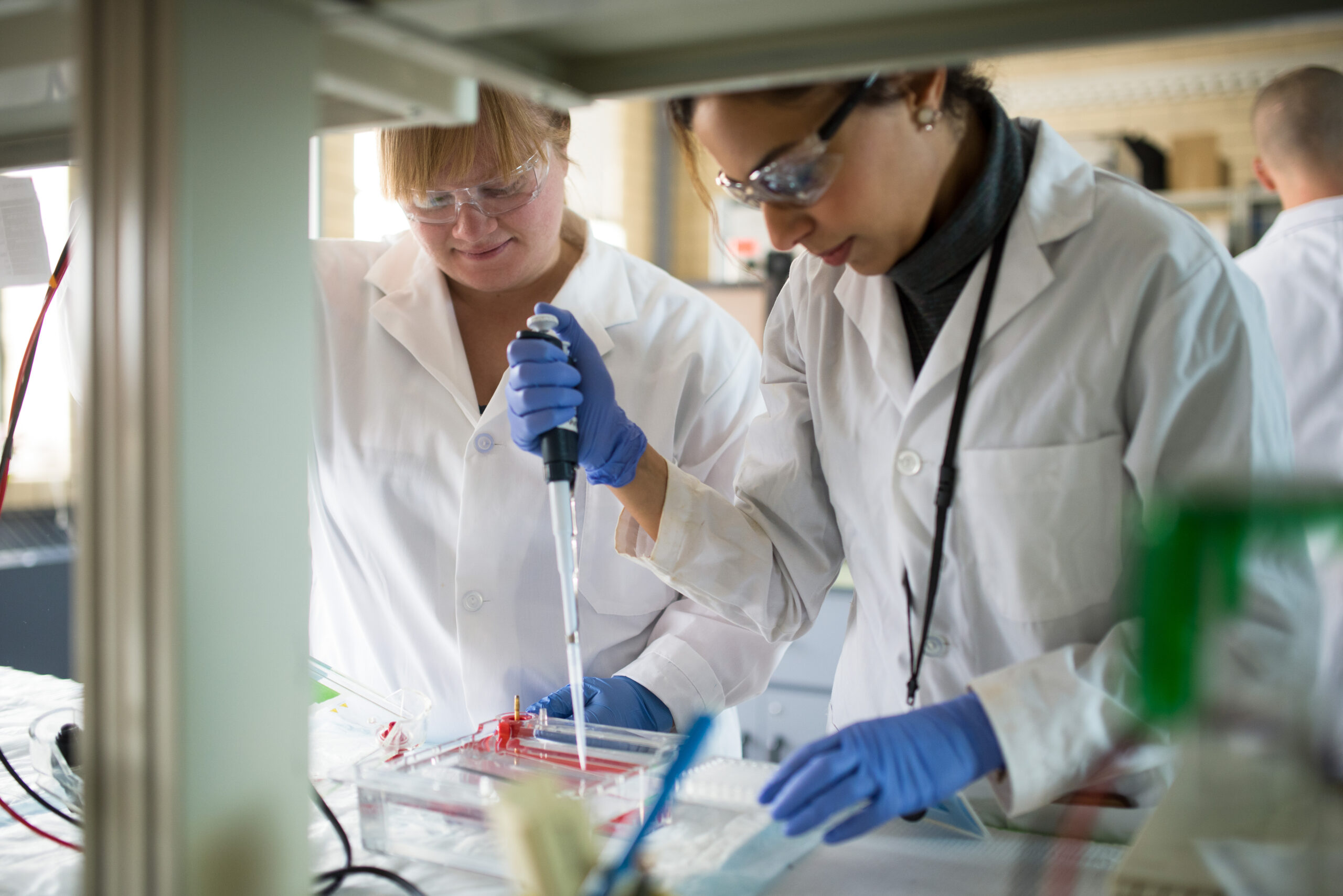 Researchers prepare to run an experiment in a lab.